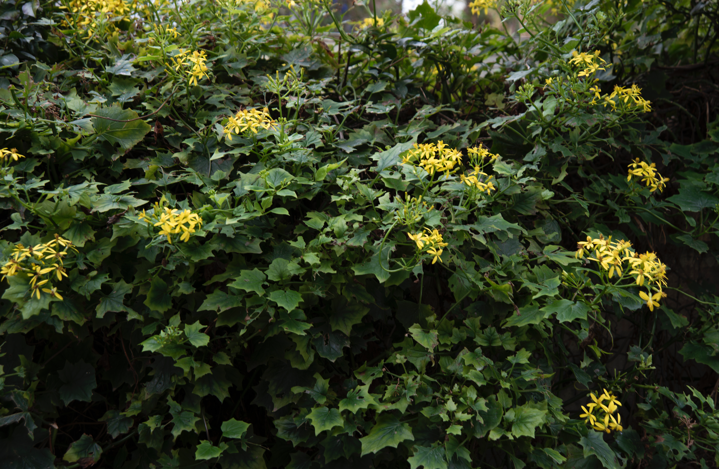 Screenshot 2023-01-05 at 14.20.33